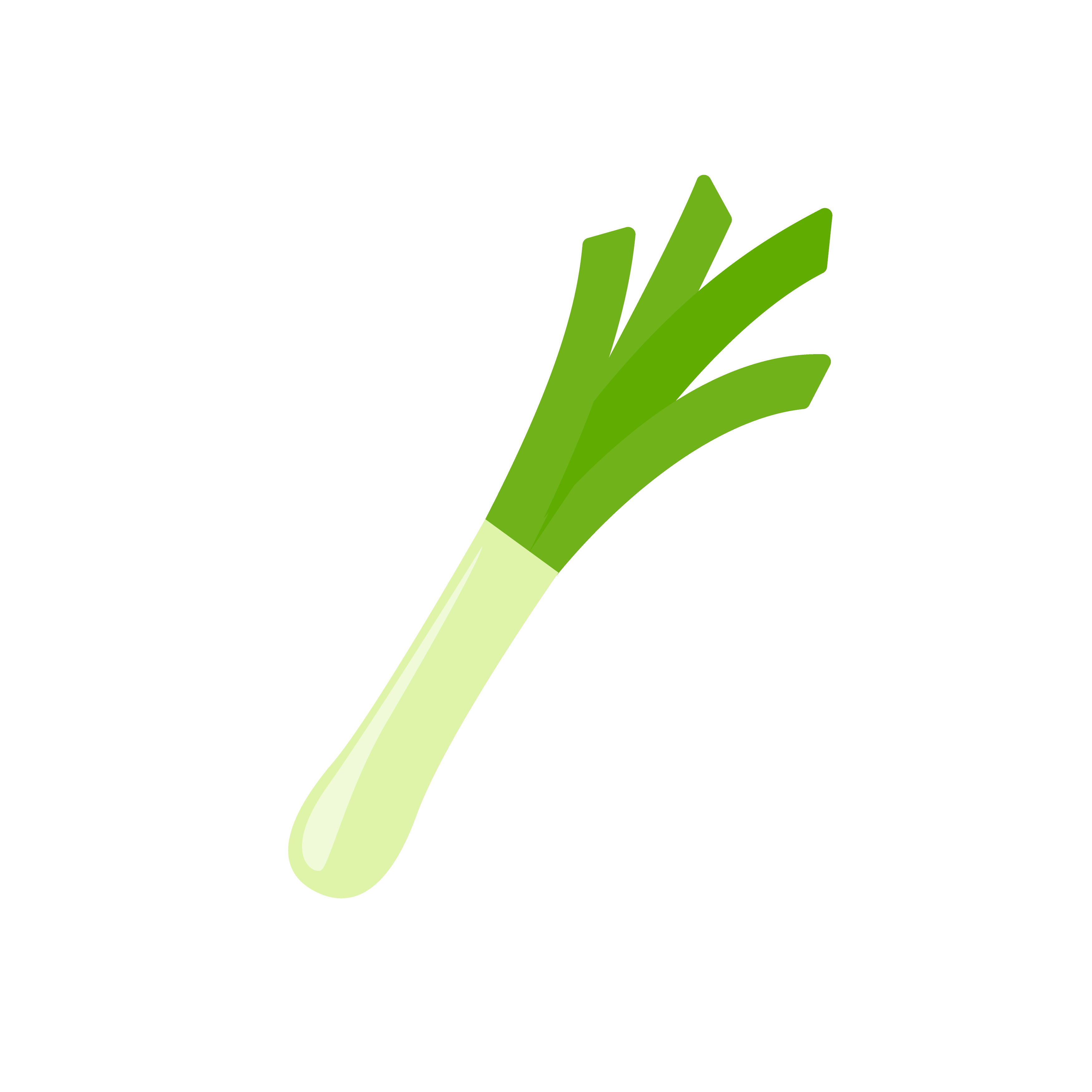 poireau
